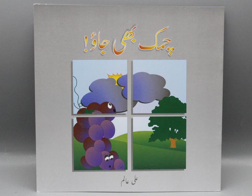 Chamak-Bhi-Jao-By-Ali-Alam-Urdu-Book
