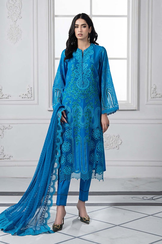 3-Piece-Embroidered-Lawn-Suit-DS-2503-B