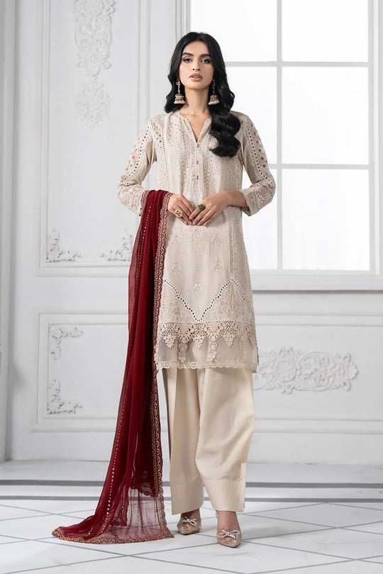 3-Piece-Embroidered-Lawn-Suit-DS-2511-B