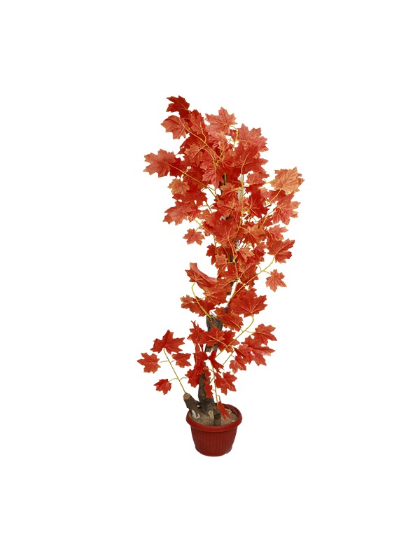 Alishia-Planter-RED
