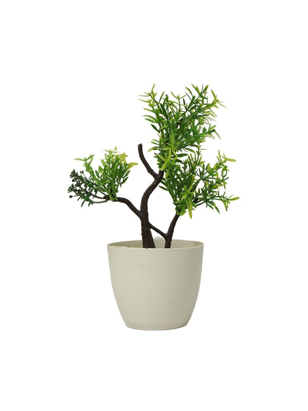 Baby-Bonsai-Planter
