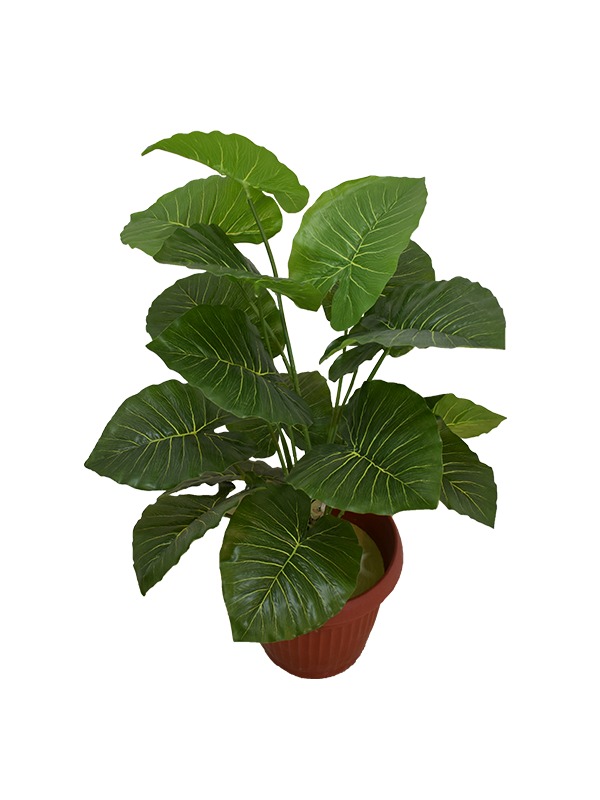 Camaila-Plant-Pot
