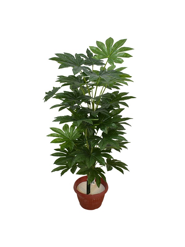 Daecola-Plant-Pot
