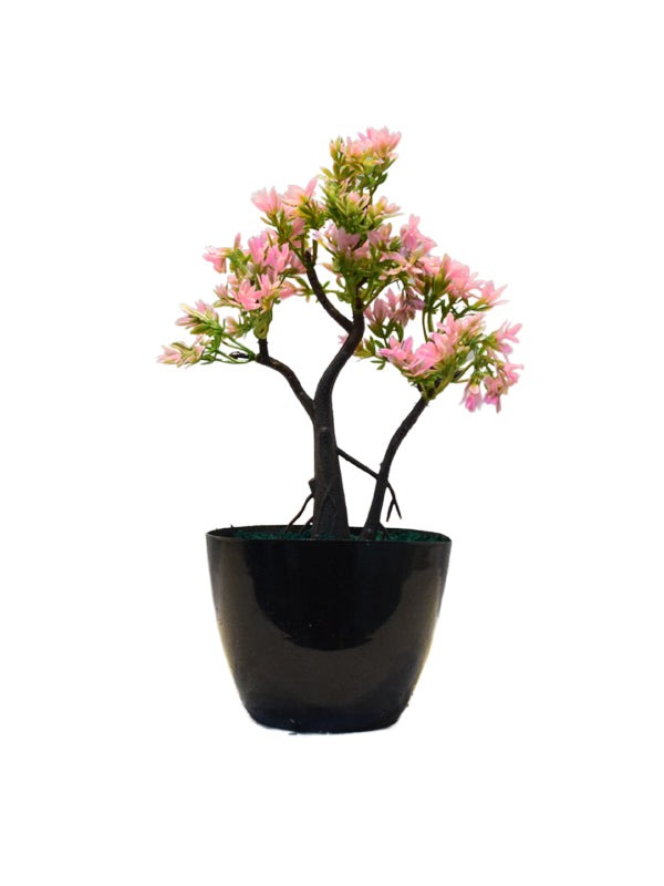 Eva-Tree-Planter
