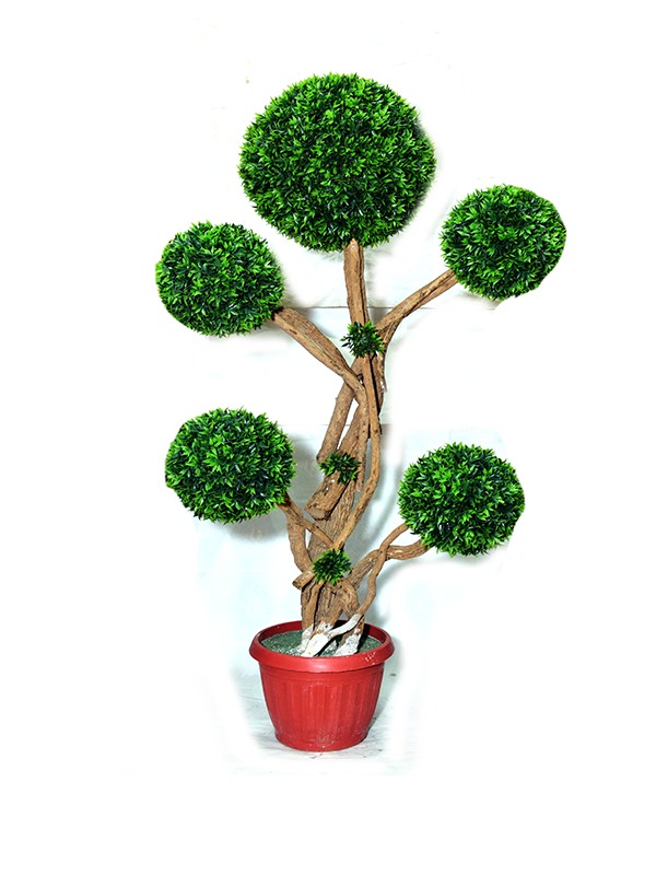 Evergreen-Boxwood-Planter
