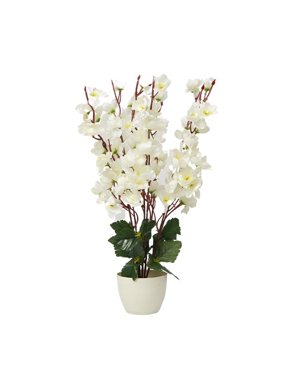 Floral-Pot-Planter-White-flowers
