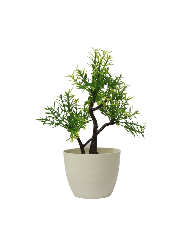 Juniper-tree-planter
