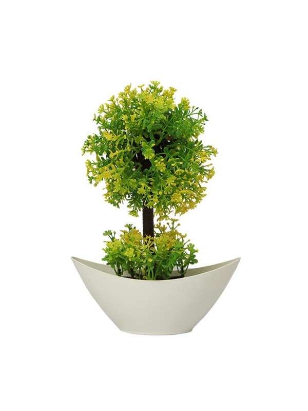 Lime-foliage-boat-pot-planter
