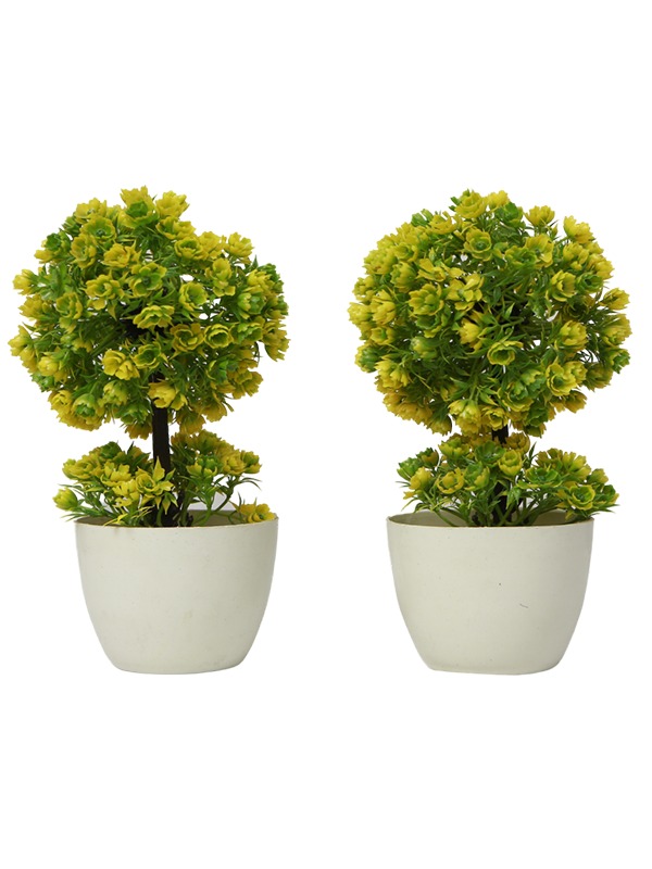 Lime-foliage-planter-2-Piece
