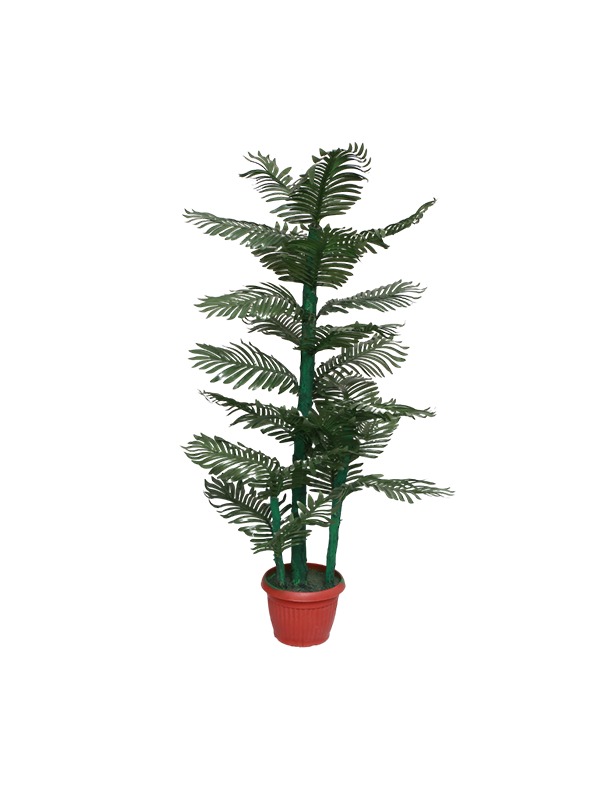 Plastic-pot-Spruce-tree-planter
