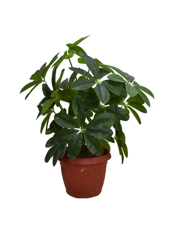 Satpura-Plant-Pot
