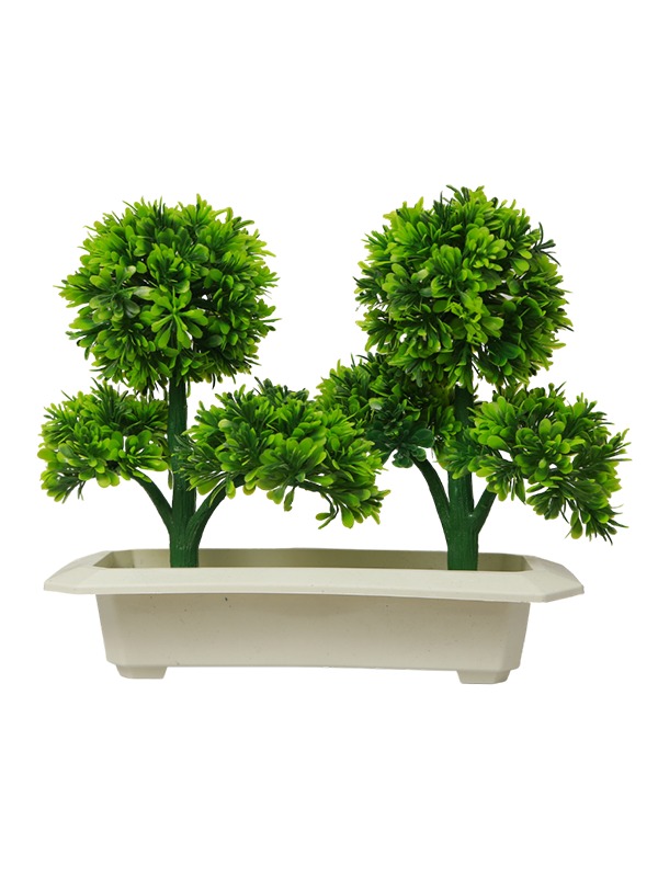 Tray-planter-dual-plant
