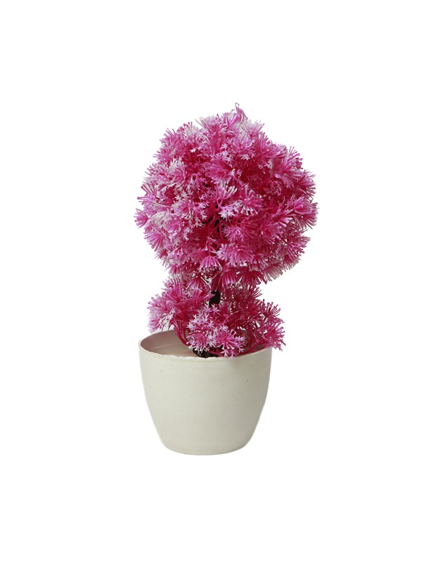 White-pot-planter-Pink-puffs
