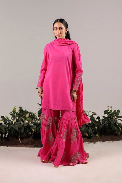 Nawabi-Gota-3-Piece-Gharara-Suit-W24F2641-Pink-8
