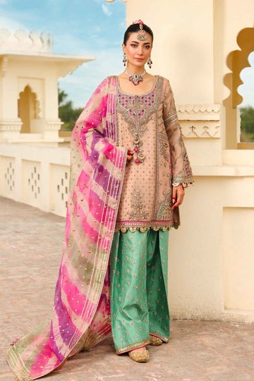 Zeenat-un-Nisa-FX-874