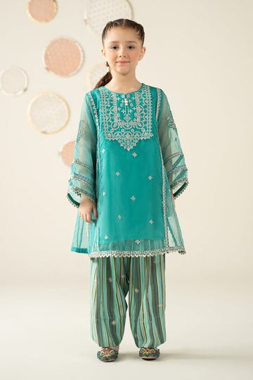 2-Piece-Embroidered-Organza-Suit-MKS-W25-05