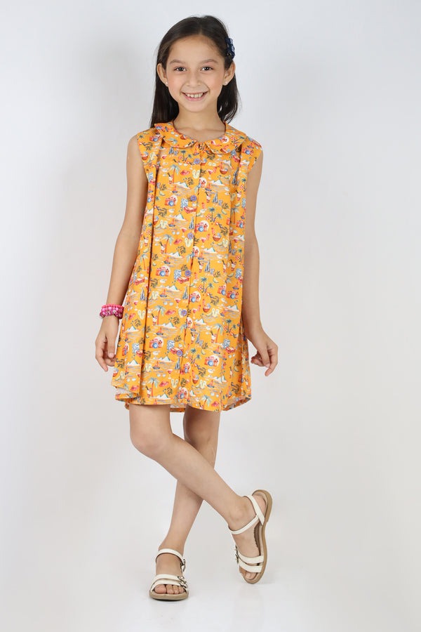 Stitched-Cotton-Dobby-Printed-Bib-Collar-A-Line-Ddress-54129
