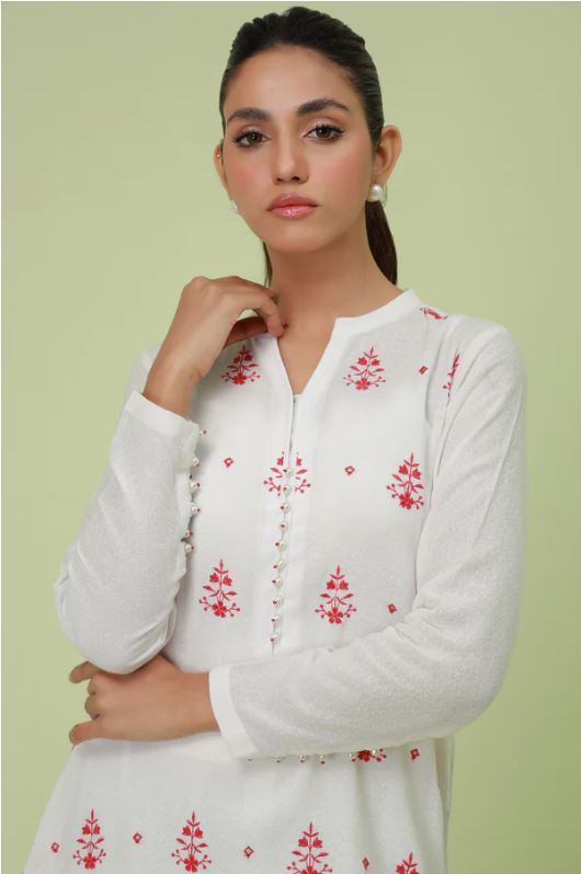 Stitched-1-Piece-Textured-Lawn-Chikankari-Embroidered-Shirt2
