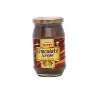 Youngs Chocolaty Spread 360gm
